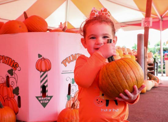 child with pumpkin