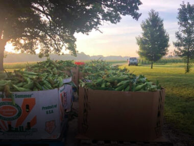 Richmond's #1 Farmers Market Tom Leonard's Farmer's Market