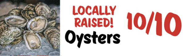Local Oysters